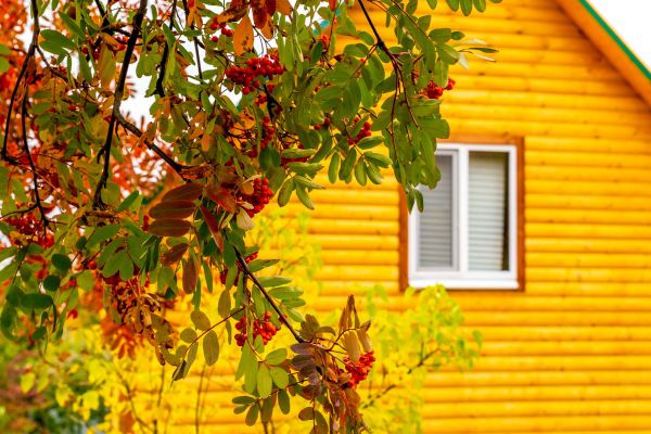 Garden Window Replacement in Cheyenne